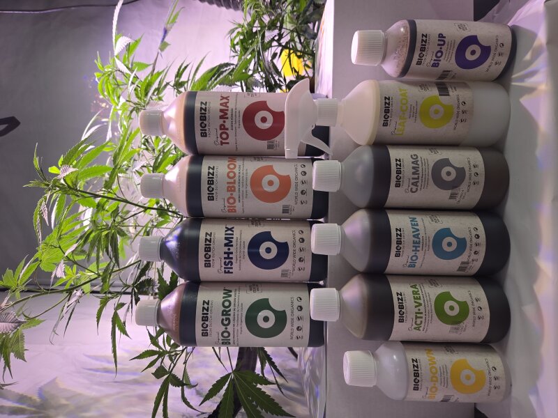 Die besten BioBizz-Dnger fr Anfnger | Tipps & Empfehlungen