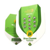 Blue Cheese Auto - Autoflower Samen - Royal Queen Seeds