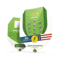 North Thunderfuck Auto - Autoflower Samen - Royal Queen...