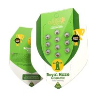 Royal Haze Auto - Autoflower Samen - Royal Queen Seeds