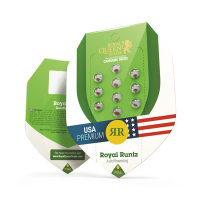 Royal Runtz Auto - Autoflower Samen - Royal Queen Seeds